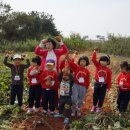 왕궁초등학교병설유치원 이미지