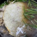 태백약초백숙 이미지