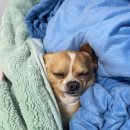 청담에스케이성형외과의원 이미지