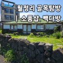 월정리 소품샵 디어브리즈 선물구매 월정리해변 골목탐방
