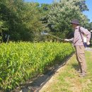 강우농장 이미지