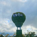 디자인스튜디오백일홍 | 2025 양산국화축제 황산공원 경남 양산 가볼만한곳 주차 시월애콘서트