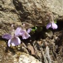 호암약수터 이미지