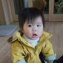 솔림목장 네이버블로그
