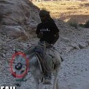 자연의 순환 이미지