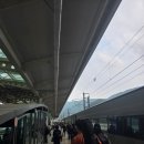 농특산물판매장 자판기 | 경주역의 모든 것(신경주역 통합) 전체 식당, 상점, 짐 보관, 박물관, 어린이 체험, 쉬는 곳, 화장실...
