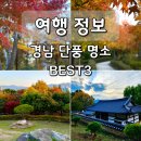 경남충전소 앞 | 경남 단풍 명소 양산 대운산자연휴양림 밀양 금시당 창원수목원