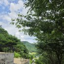 해피니스 - 서천군 | 04. 양주 해피니스캠핑장 후기｜서울 근교 프라이빗 캠핑하기 좋은 조용한 캠핑장 추천