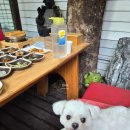 밭뚜렁 티스토리