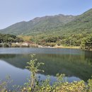 천자봉 농장 이미지