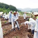 고암성산대로 이미지