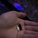 메딕스 | 남성영양제 전립선 건강 네오메딕스 맨포뮬러 후기