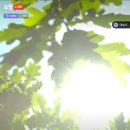 주식회사 클링