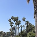 레이크뽑기샵 | LA-9 Echo Park, 에러헌 헤일리비버 스무디, 글로시에 추천템, Melrose District, 알프레도 커피, 폴...