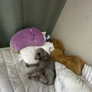진안읍사무소 공중화장실 | 나 또 와따!