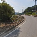 양지좌사 이미지