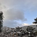 꽃무리 뜸 이미지