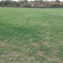 신도리-6 이미지