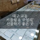 수진2호 이미지