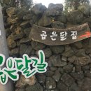 곱은달집 Daum카페