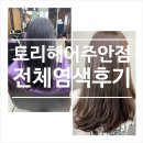 토리헤어(주안점) | 주안동미용실 토리헤어 :: 전체 염색 후기 (검정에서 갈색으로 컬러체인지)