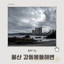 강동몽돌해변 | 울산 북구 정자 아기랑 강동몽돌해변 후기