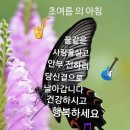 견우직녀 네이버블로그