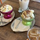 오렌지애견 이미지