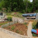 서울정심초등학교 이미지