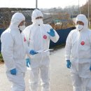 영암오리 이미지