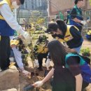 한국 청소년적십자 이미지