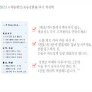 진앤코