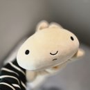 라쥬뷰티 이미지