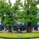 화순약국 이미지