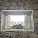 바당올레662 이미지