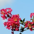 하늘소풍 이미지