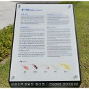 삼성인력 이미지