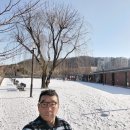 푸른 당구장 이미지