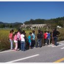 지사초등학교 이미지