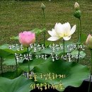 다컴 - 서구 화운로304번길 28 | 다컴