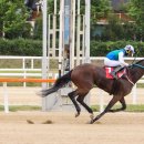 이안목장 이미지