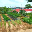 소반뫼스테이 이미지