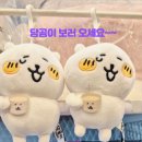 부천로46번길 이미지