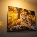 타로 심리상담 활용 이미지