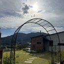 리틀 아쉬람 이미지