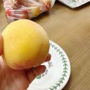 파주 애견동반식당 마마경양식 파스타 돈까스 내돈내산후기