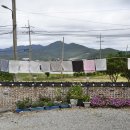GR(해남군)-[고산로]-상-5 | 전남 해남 숙소 한옥 펜션 태양옥 농촌체험, 무료조식 까지