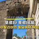 "로마의 동묘"라더니... 일요일마다 몰리는 이유, 포르타 포르테제 후기