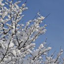 무령왕릉 이미지