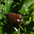 자연에 품 이미지